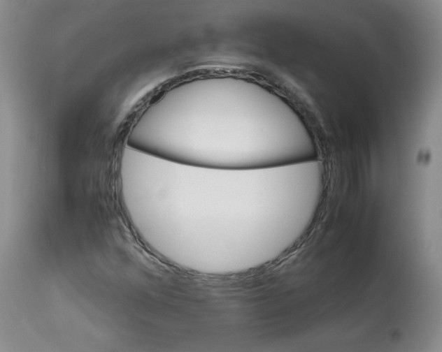 X0000113151352200910021453