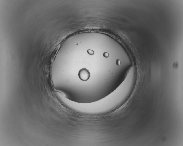 X0000113151353200910021453