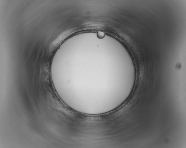 X0000113151354200910021453