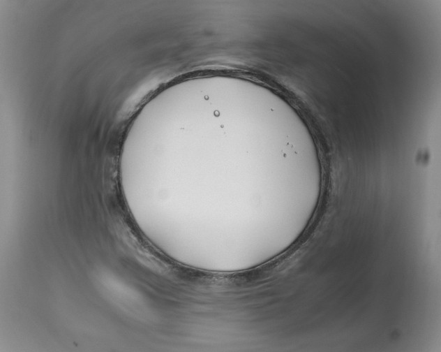 X0000113151355200910021453