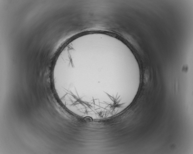 X0000113151356200910021453