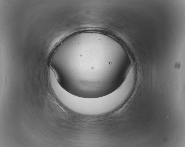 X0000113151357200910021453