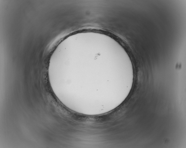 X0000113151359200910021453