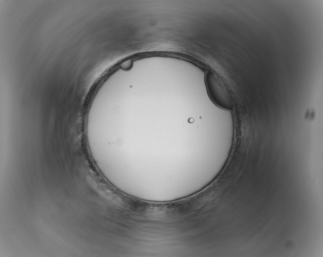 X0000113151364200910021453