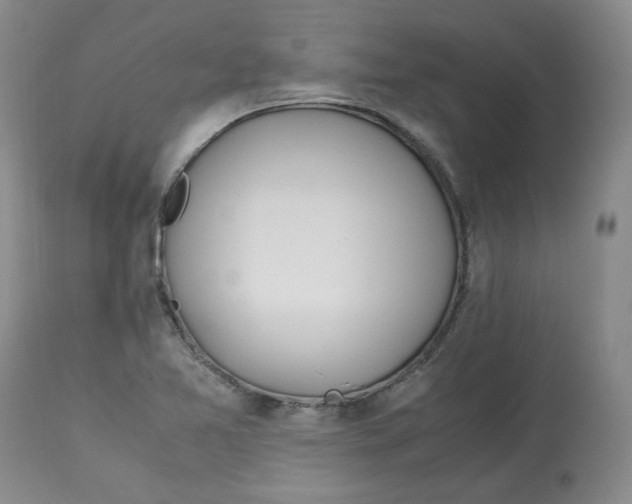 X0000113151365200910021453