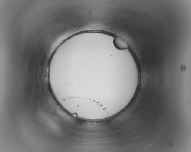 X0000113151366200910021453