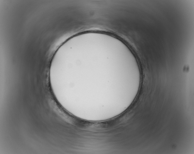 X0000113151367200910021453