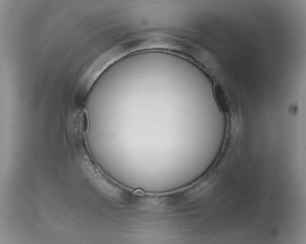 X0000113151369200910021453