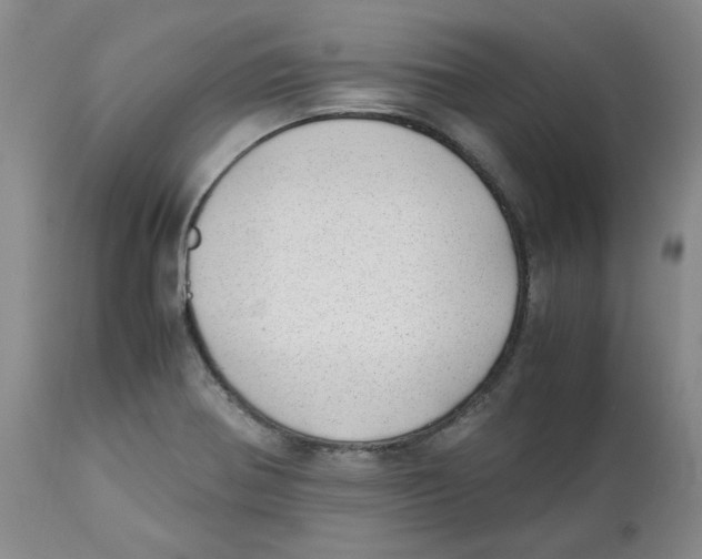 X0000113151370200910021453