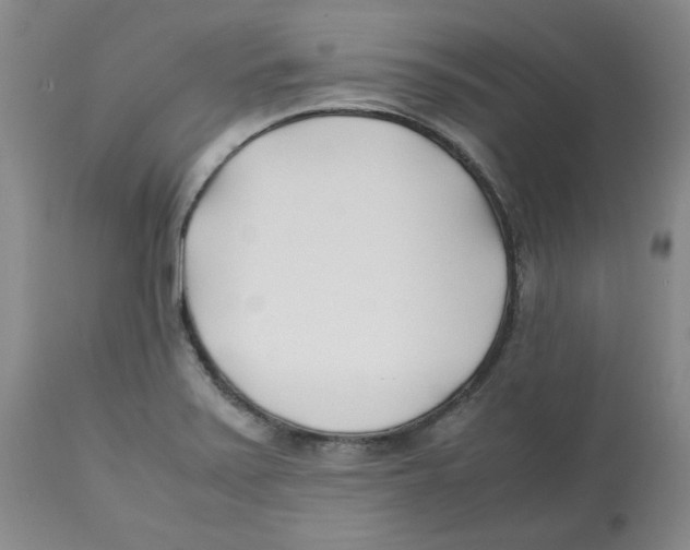 X0000113151371200910021453