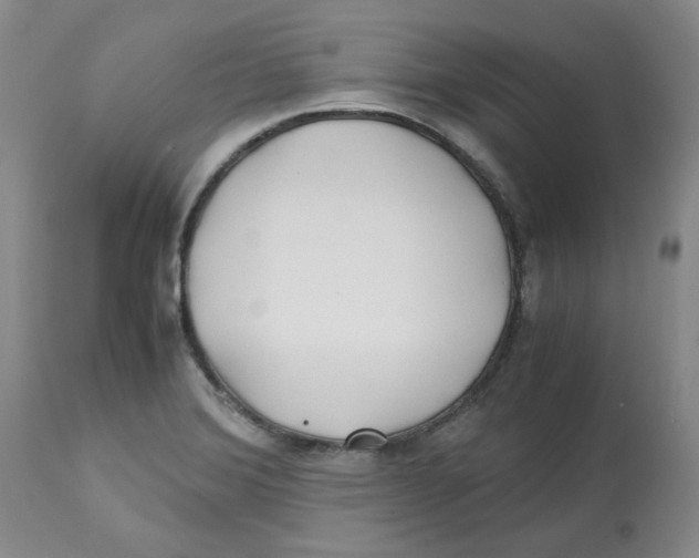 X0000113151372200910021453