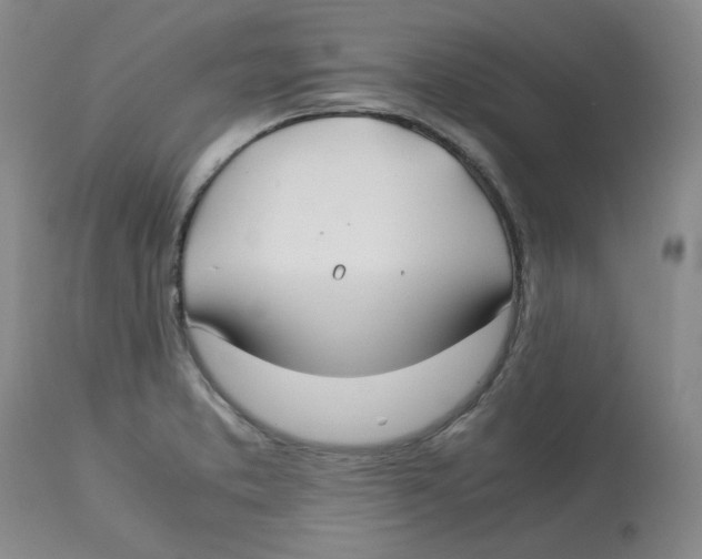 X0000113151373200910021453