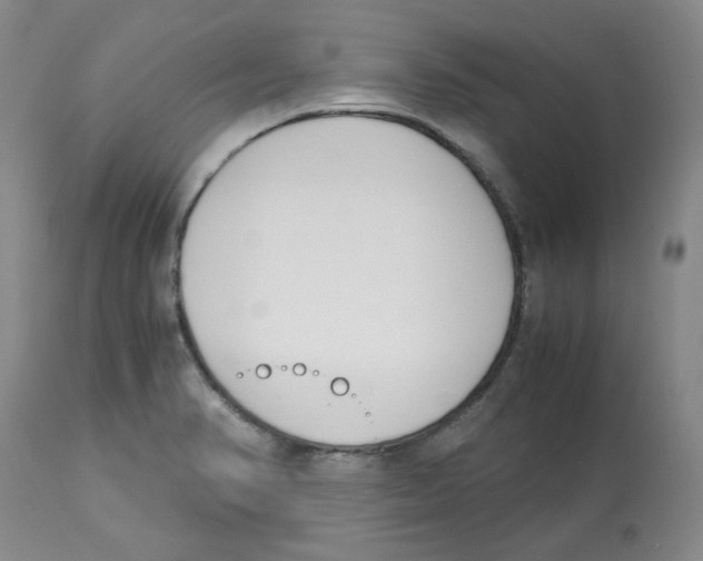 X0000113151374200910021453