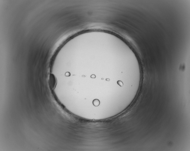 X0000113151376200910021453