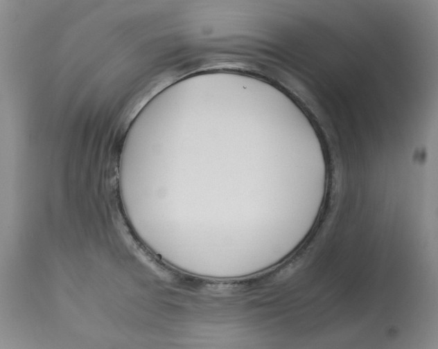 X0000113151377200910021453