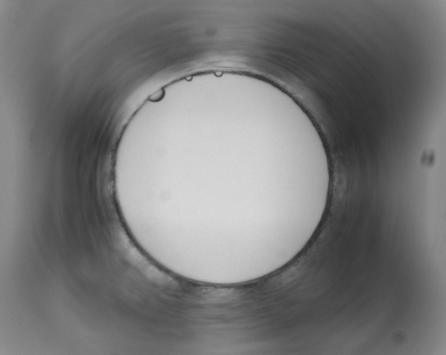 X0000113151382200910021453