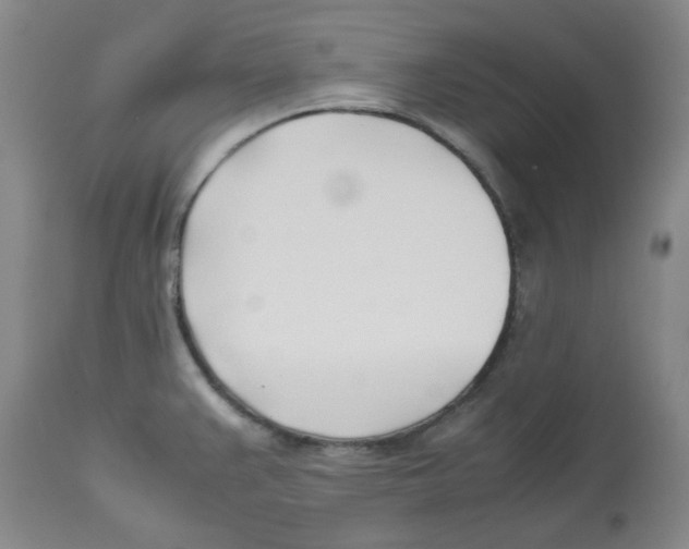 X0000113151383200910021453