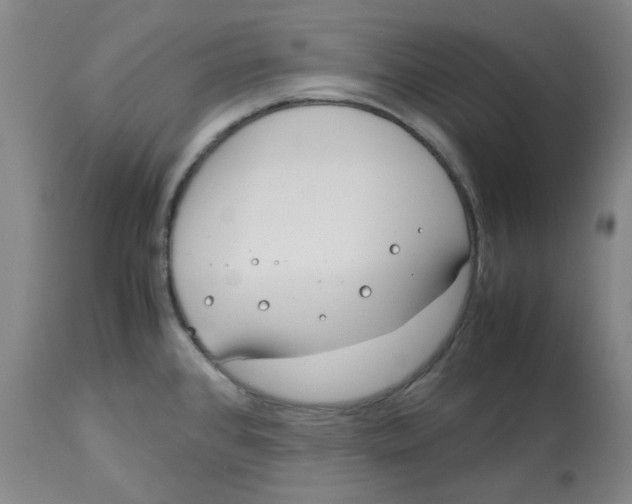 X0000113151384200910021453