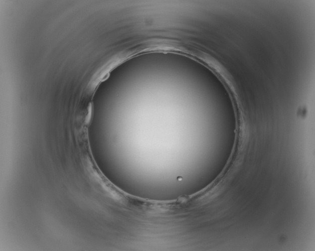 X0000113151385200910021453