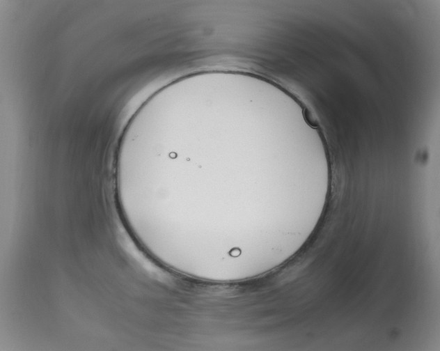 X0000113151387200910021453