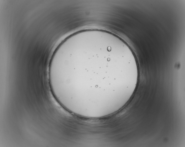 X0000113151388200910021453