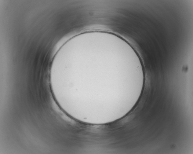 X0000113151390200910021453