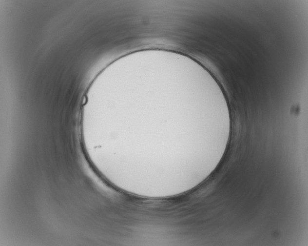 X0000113151391200910021452