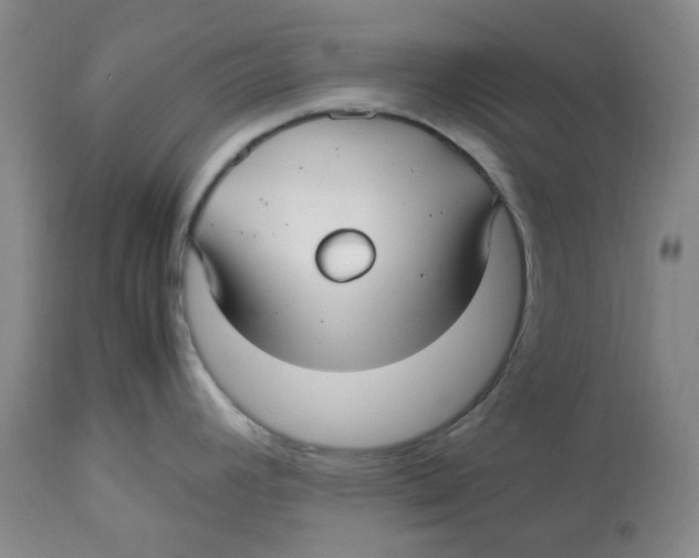 X0000113151392200910021452