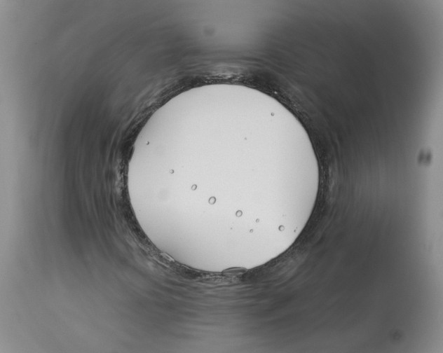 X0000113151394200910021452