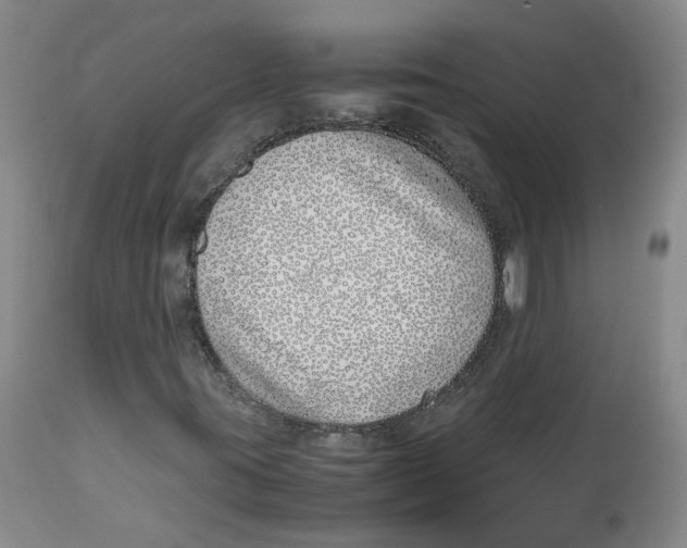 X0000113151395200910021452