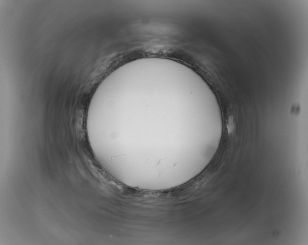 X0000113151396200910021452