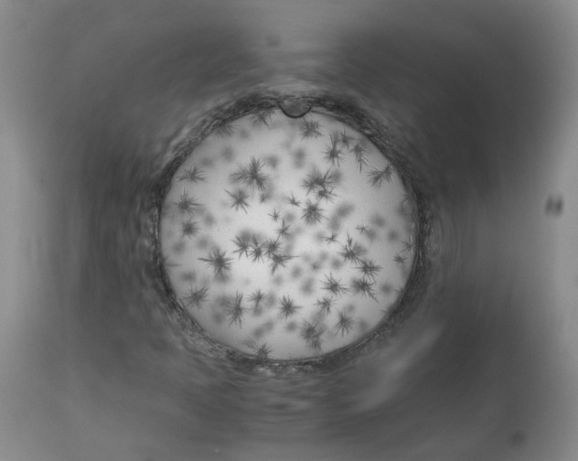 X0000113151397200910021452
