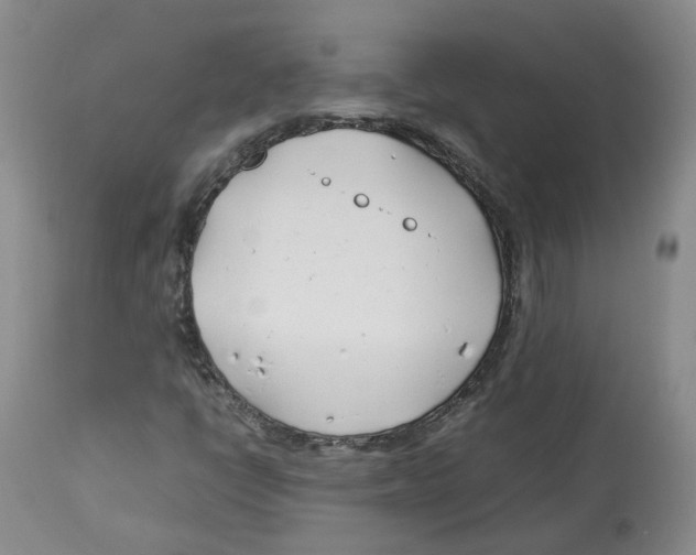 X0000113151398200910021452