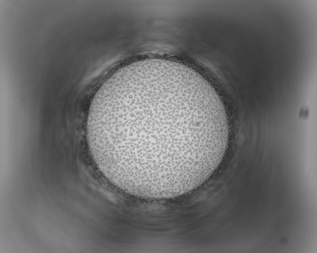 X0000113151399200910021452