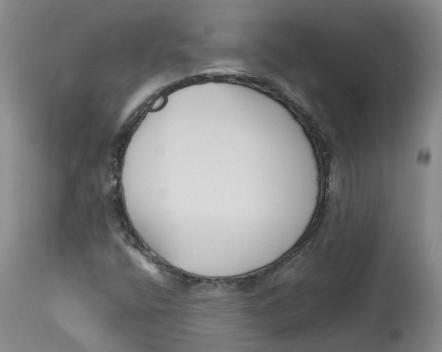 X0000113151400200910021452