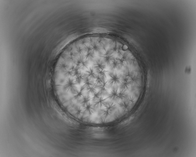 X0000113151401200910021452
