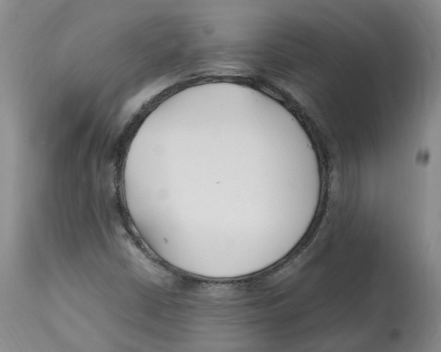 X0000113151402200910021452