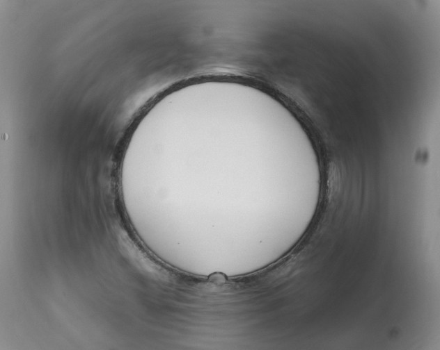 X0000113151404200910021452