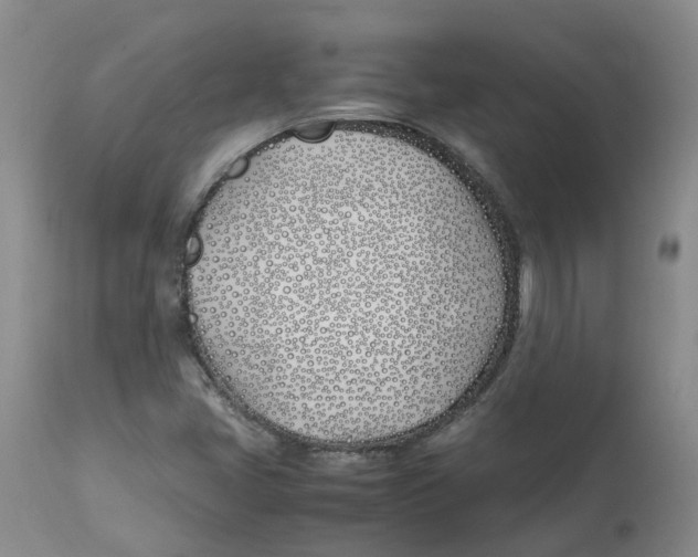 X0000113151405200910021452