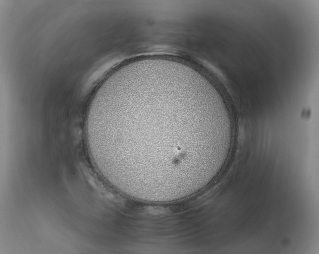 X0000113151407200910021452