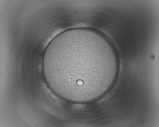 X0000113151409200910021452