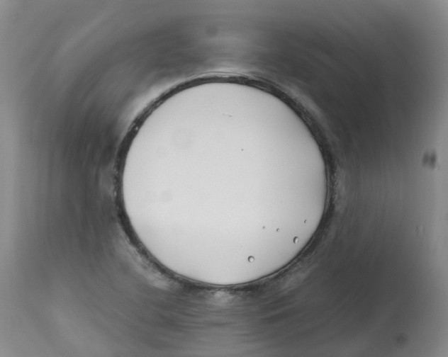 X0000113151412200910021452