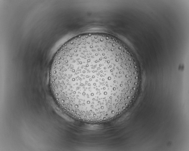 X0000113151413200910021452