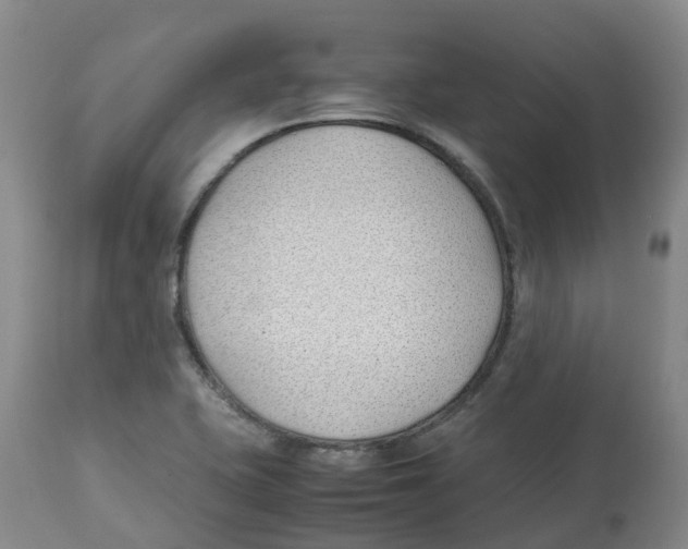 X0000113151415200910021452