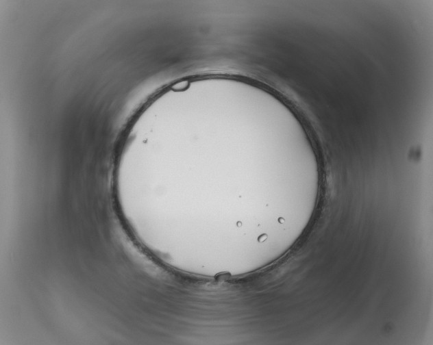 X0000113151416200910021452