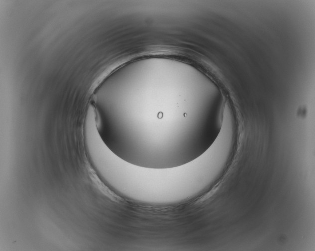 X0000113151417200910021452