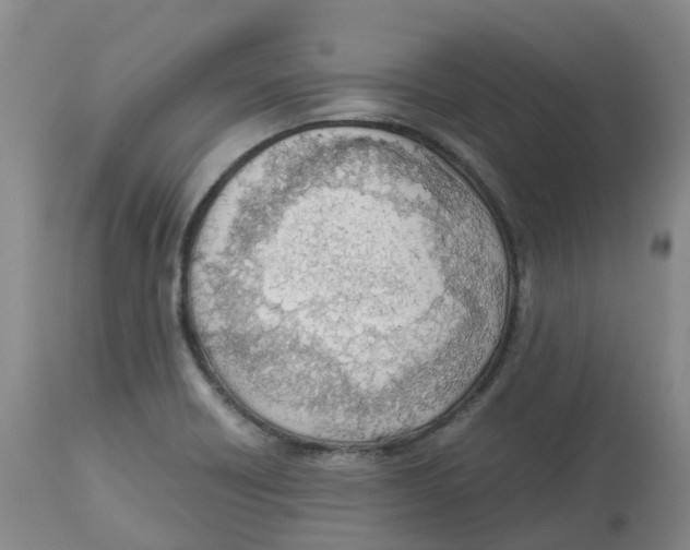 X0000113151418200910021452