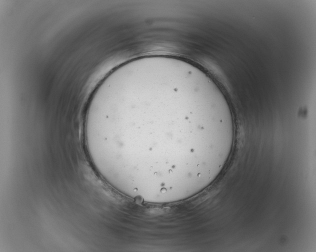 X0000113151419200910021452