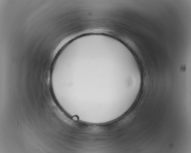 X0000113151420200910021452