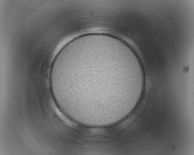 X0000113151421200910021452